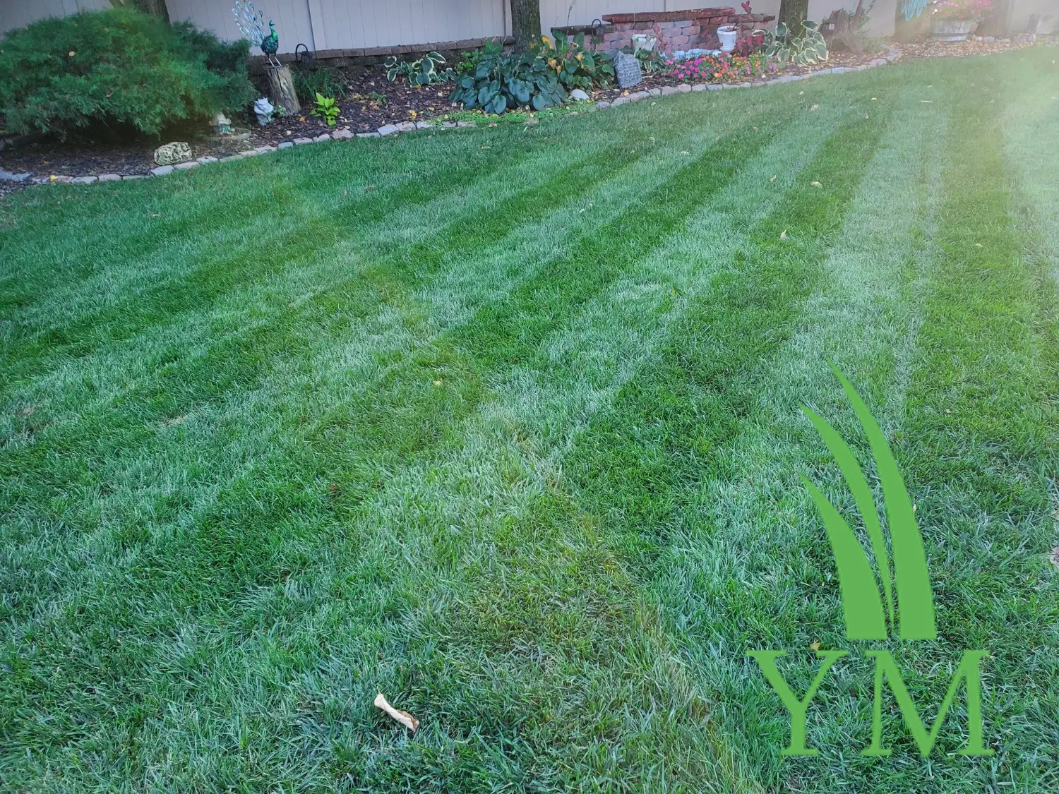 0-0-7 Prodiamine Granular Pre-Emergent Herbicide – Crabgrass & Weed Prevention - Image 6