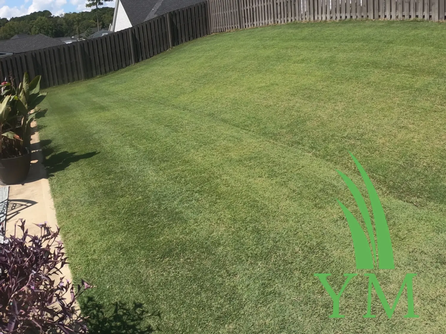 0-0-7 Prodiamine Granular Pre-Emergent Herbicide – Crabgrass & Weed Prevention - Image 9