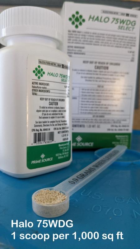 HALO Select - Halsulfuron | Herbicide - Image 4